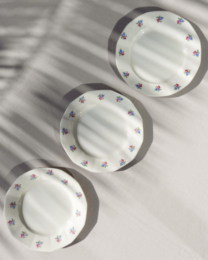 Lot de 4 assiette plates