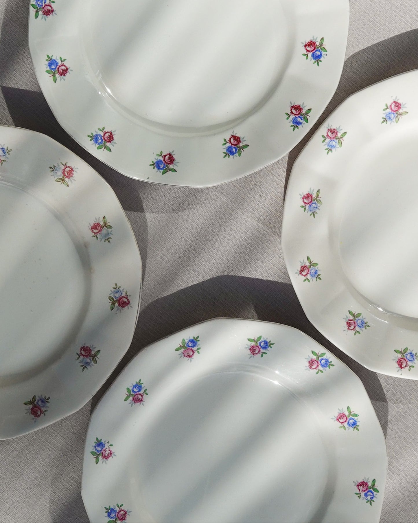 Lot de 4 assiette plates